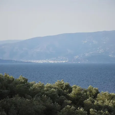 Apartament Goddesses 2 In Nies