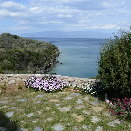 Goddesses 2 In Nies *