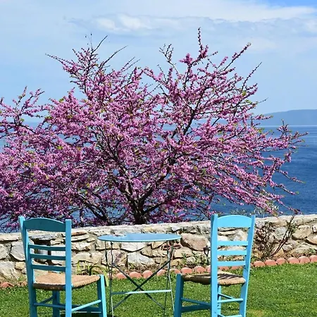 Apartament Goddesses 2 In Nies *