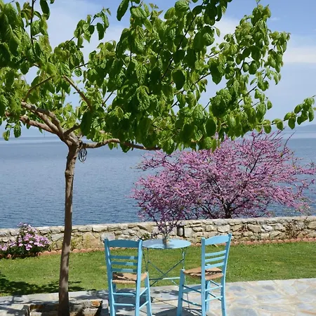 Goddesses 2 In Nies Apartament *