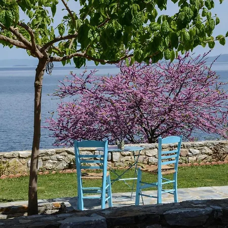 Apartament Goddesses 2 In Nies *