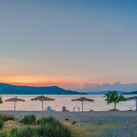 Goddesses 2 In Nies * Sourpi