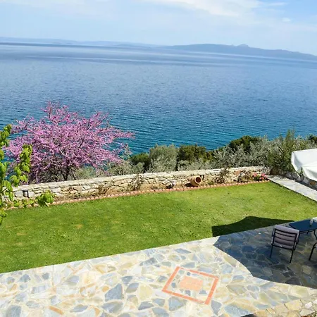Apartman Goddesses 2 In Nies