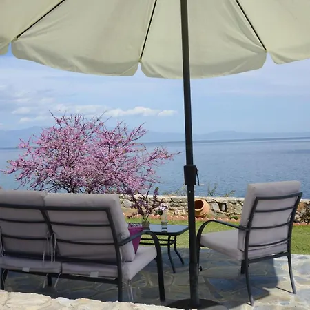 Goddesses 2 In Nies * Sourpi