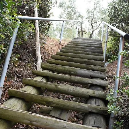 Goddesses 2 In Nies Sourpi