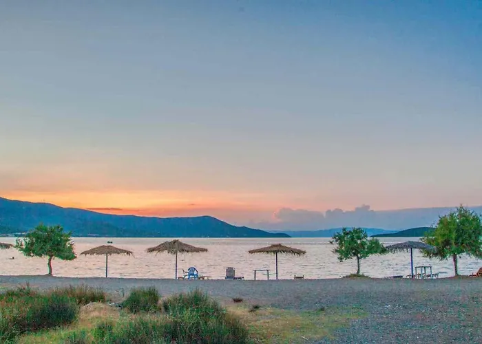 Goddesses 2 In Nies Daire Sourpi