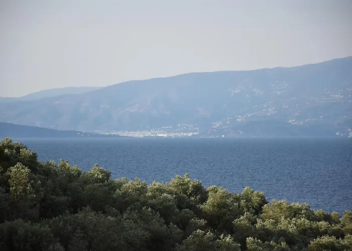 Daire Goddesses 2 In Nies