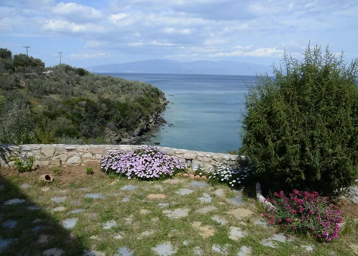 Goddesses 2 In Nies *