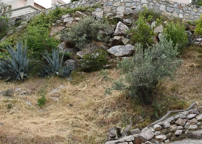 Goddesses 2 In Nies Daire Sourpi