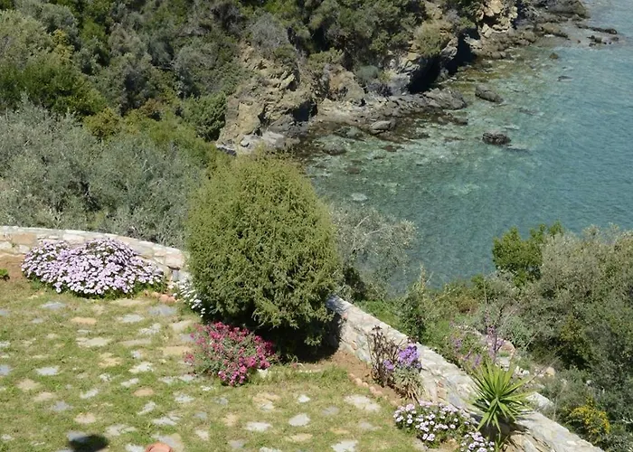 Goddesses 2 In Nies * Sourpi