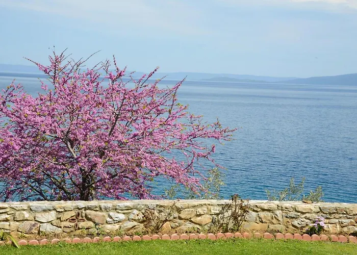 Goddesses 2 In Nies 公寓 *